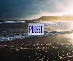 PULEET 2024 registration expected to release soon, Click here to know its tentative schedule, eligibility criteria, pattern, application fees, registration process